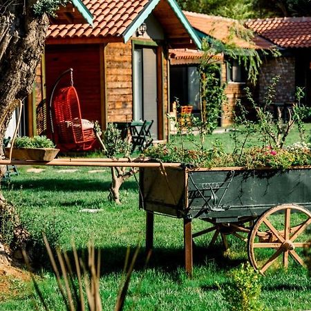 Serender Bungalov Panzió Foca Kültér fotó